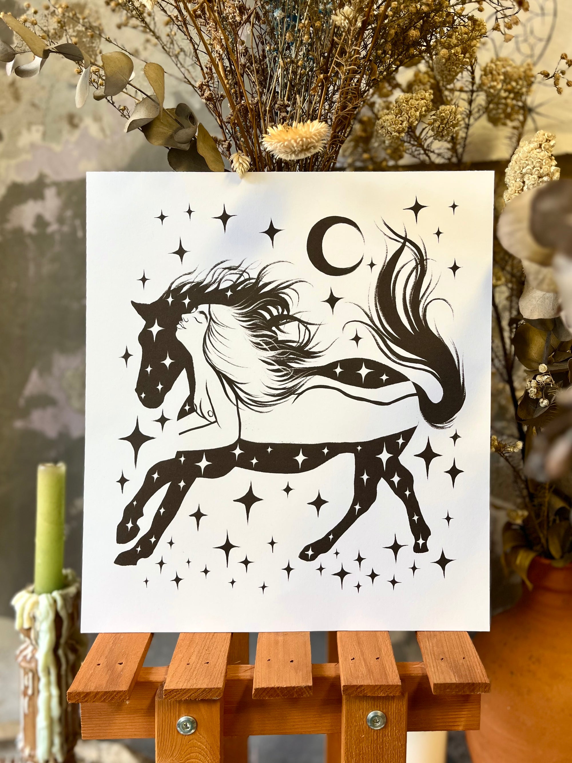 De Serpiente a Caballo