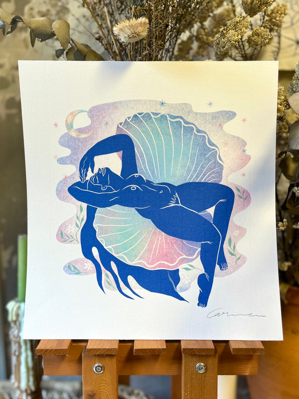 Venus in colours II✨ 🐚 🌈