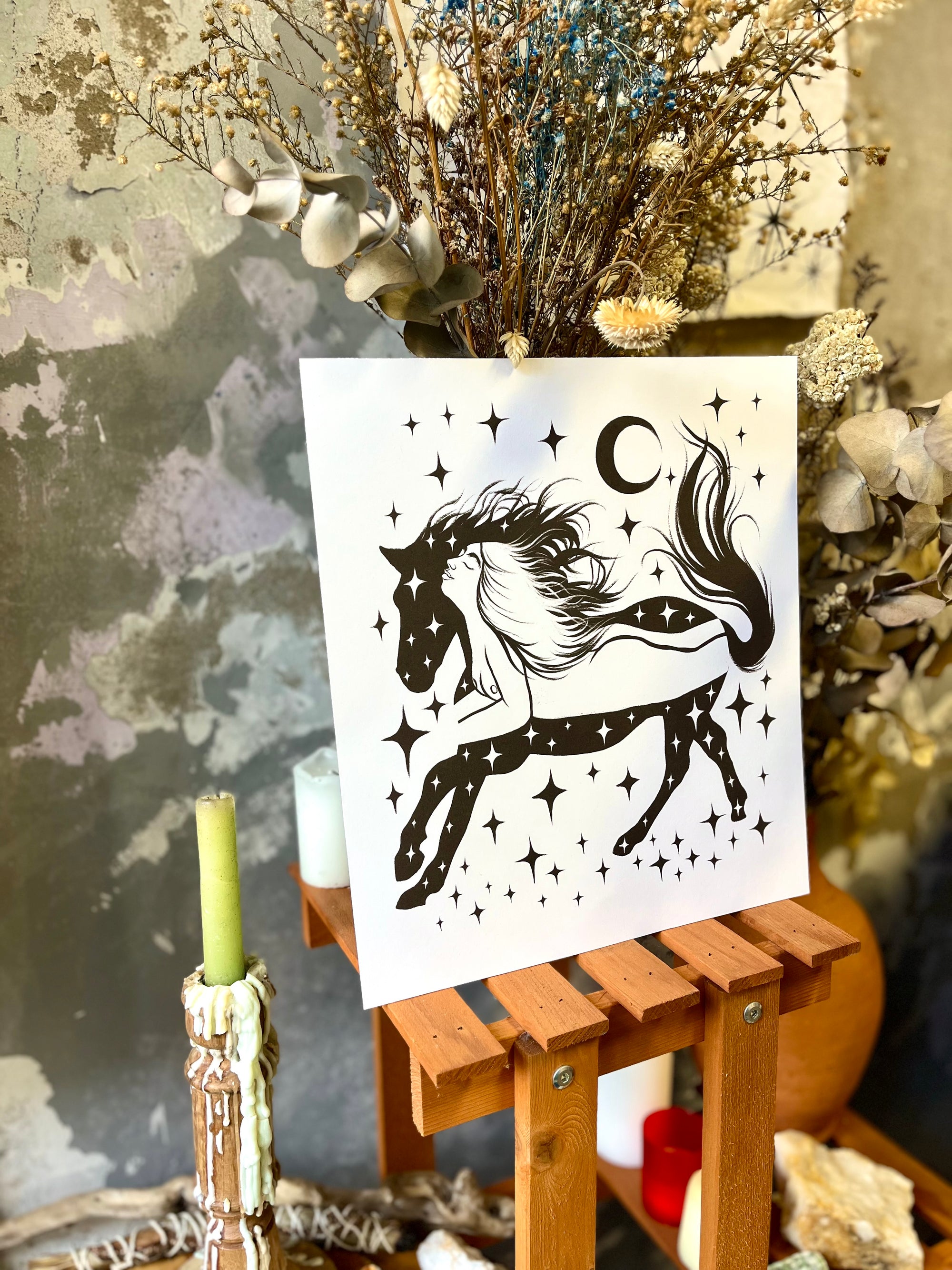 De Serpiente a Caballo