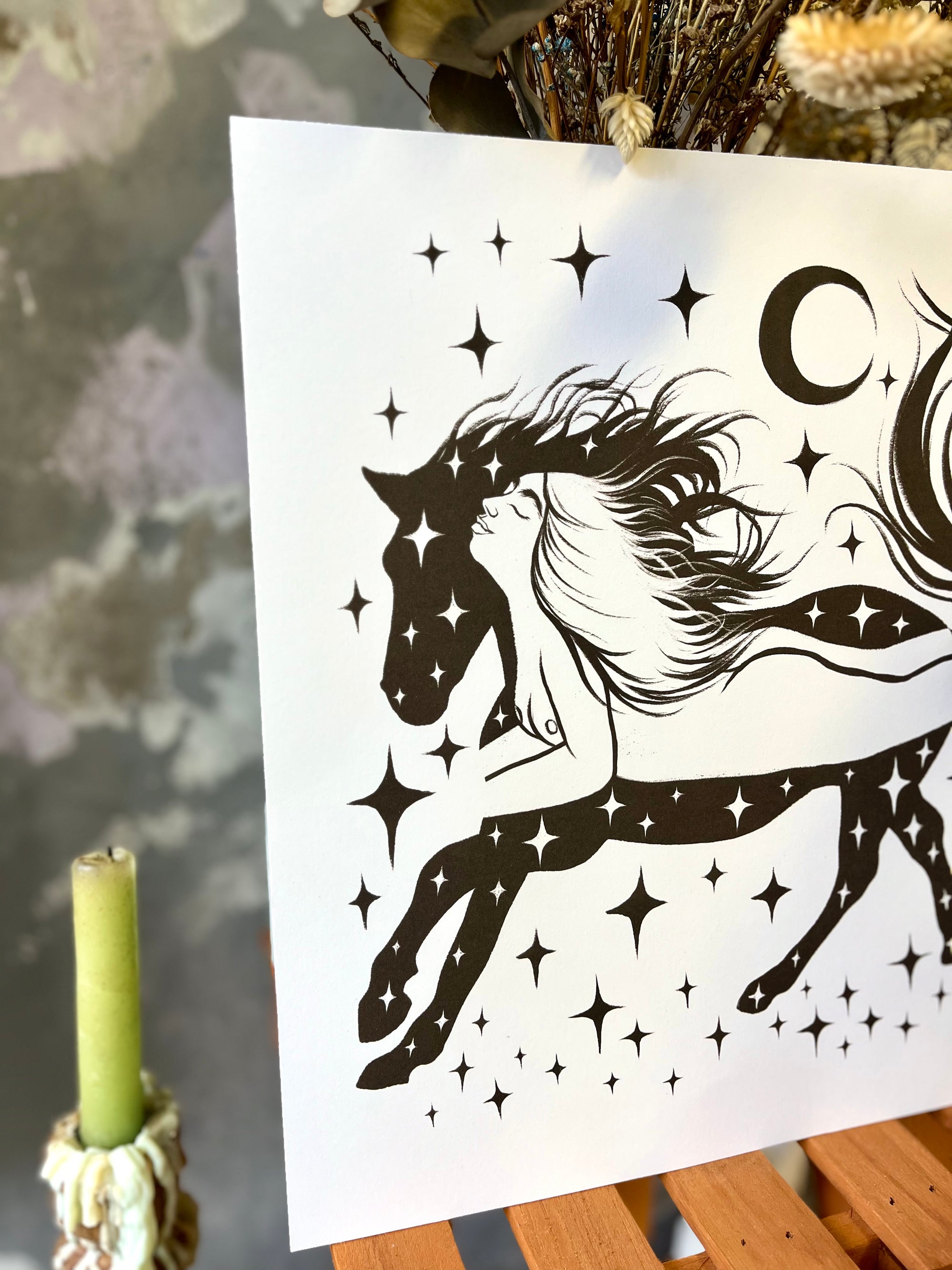 De Serpiente a Caballo